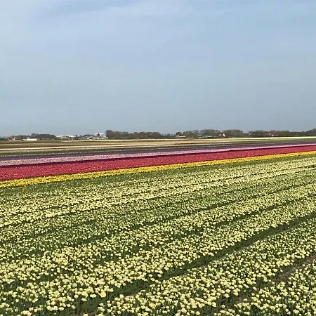 Blauw Vaal 펜션